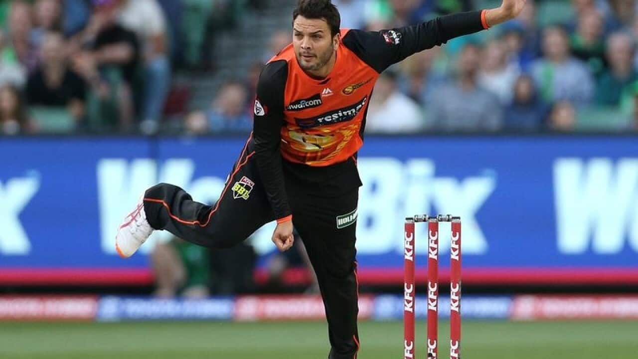 CRICKET BBL STARS SCORCHERS QADIR