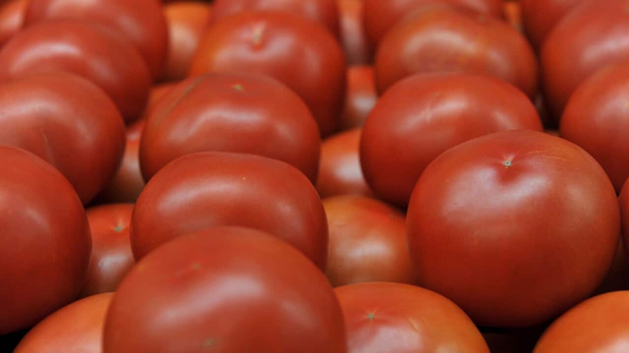 Tomatoes in a stall in a fruit store