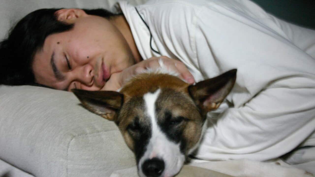 Image for read more article ''