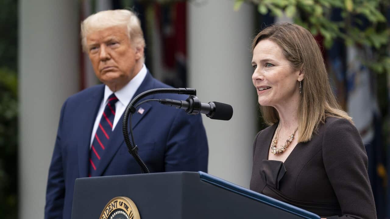 Judge Amy Coney Barrett and US President Donald Trump (AP)