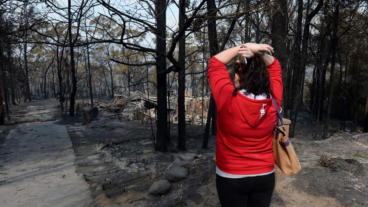 Bushfire_aftermath_131024_AAP.JPG