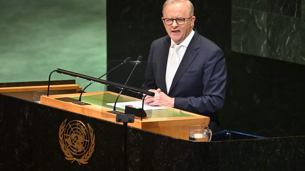 ANTHONY ALBANESE UNITED NATIONS