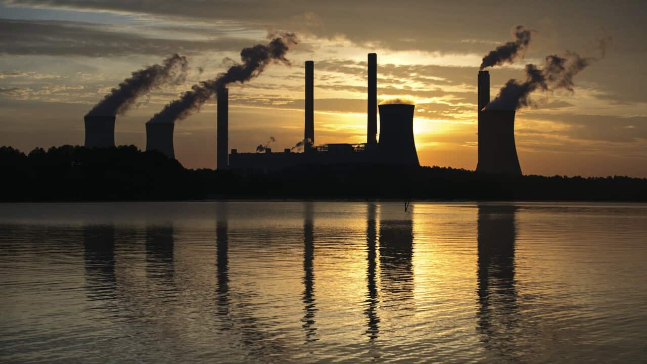 The coal-fired Plant Scherer, one of the nation's top carbon dioxide emitters, stands in the distance in Juliette, Ga.