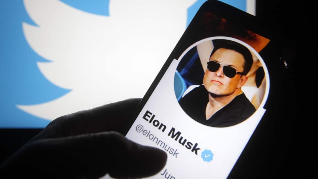 ایلان ماسک صاحب جدید توئیتر