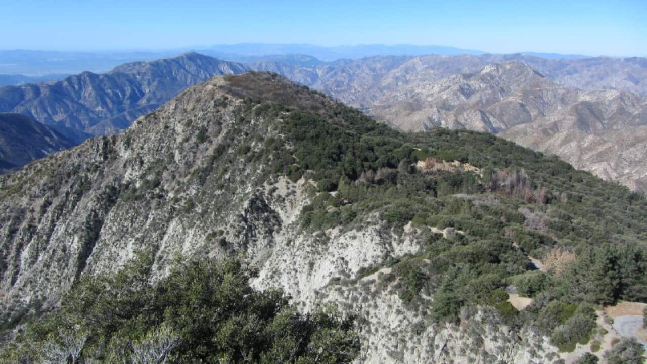 في أي ولاية يقع جبل "خيبة الأمل" أو “ Mount Disappointment” ؟ SBS