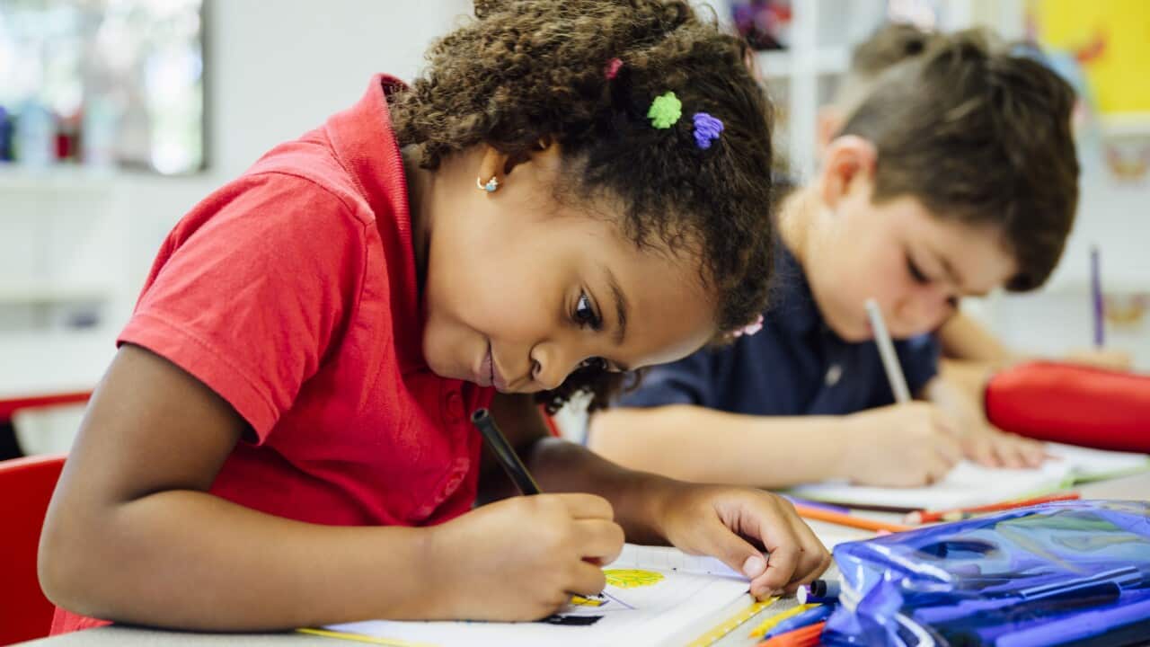 Elementary aged Hispanic schoolgirl focusing on her drawing