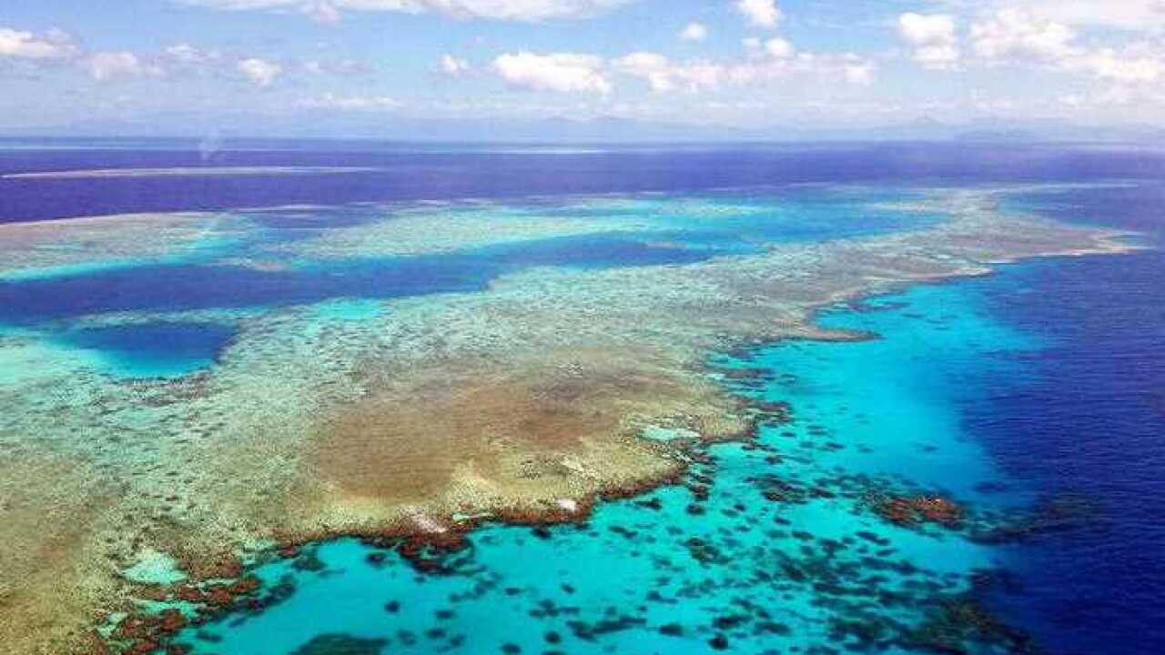 The Great Barrier Reef