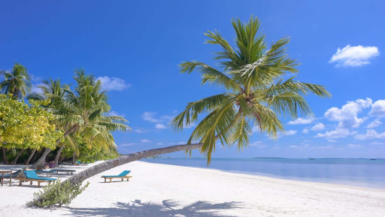 A Beach in The Madives