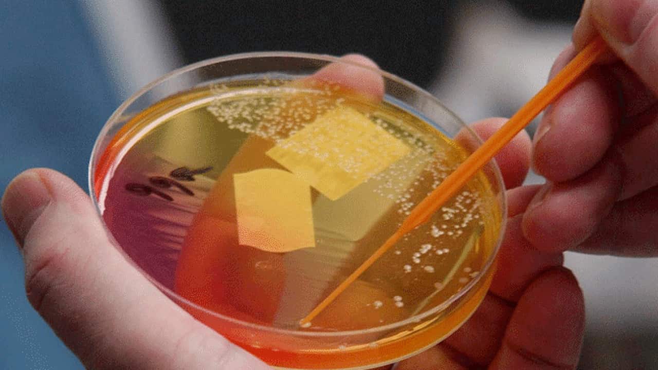 Image for read more article ''