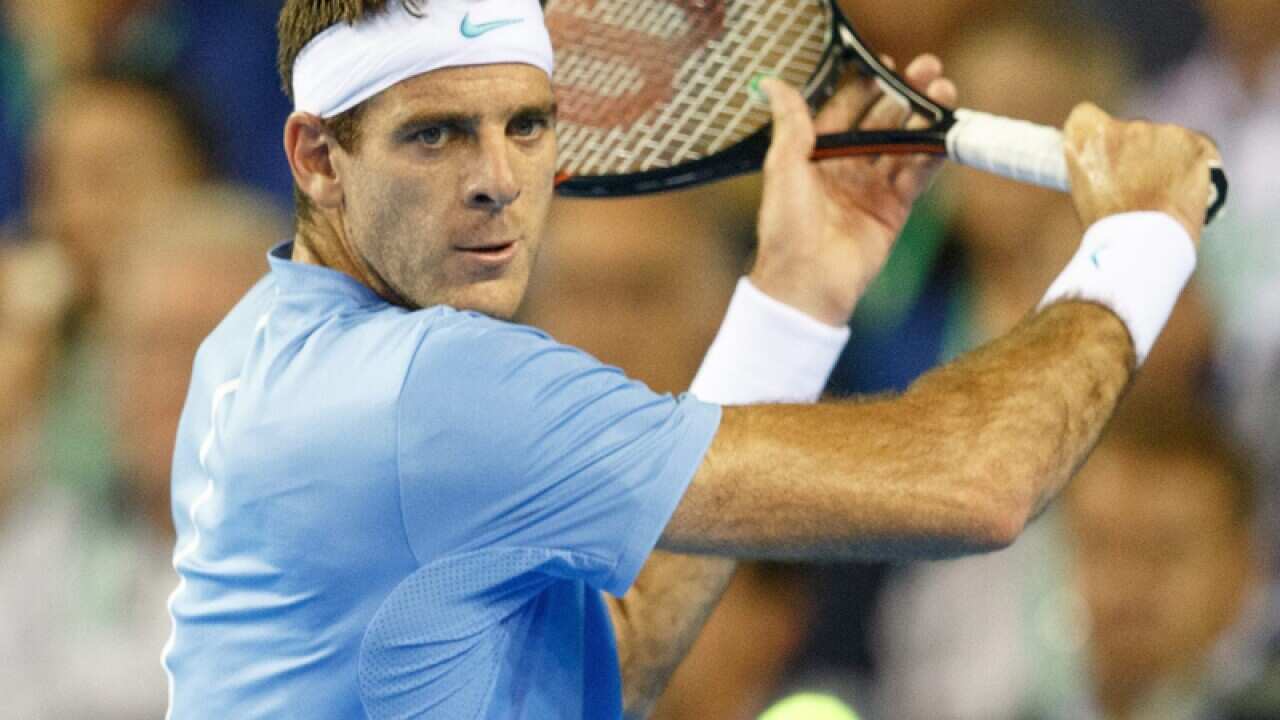 Juan Martin del Potro of Argentina