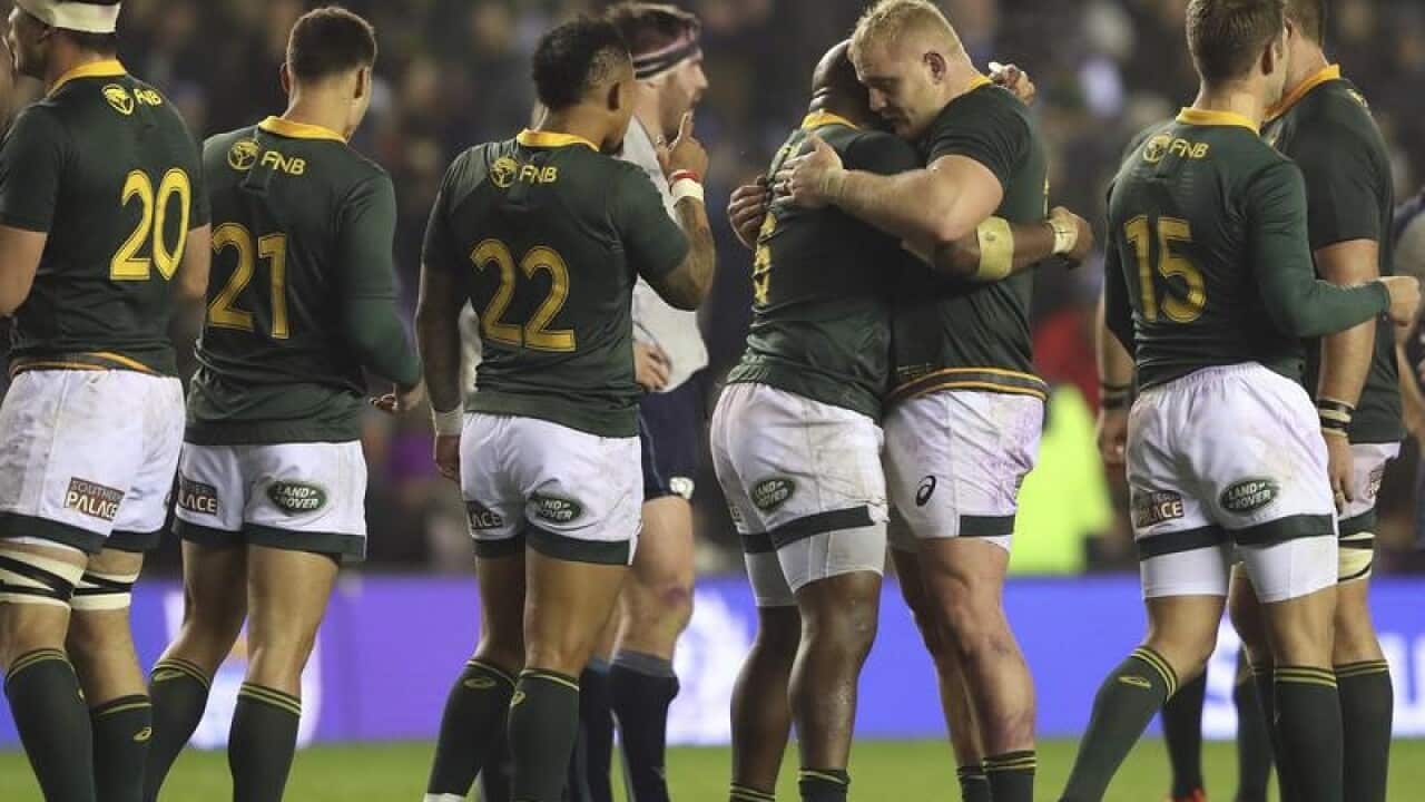 South Africa's players celebrate at the end of the match