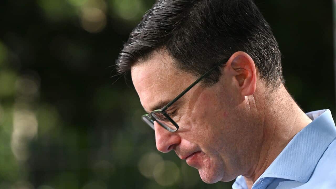 DAVID LITTLEPROUD PRESSER