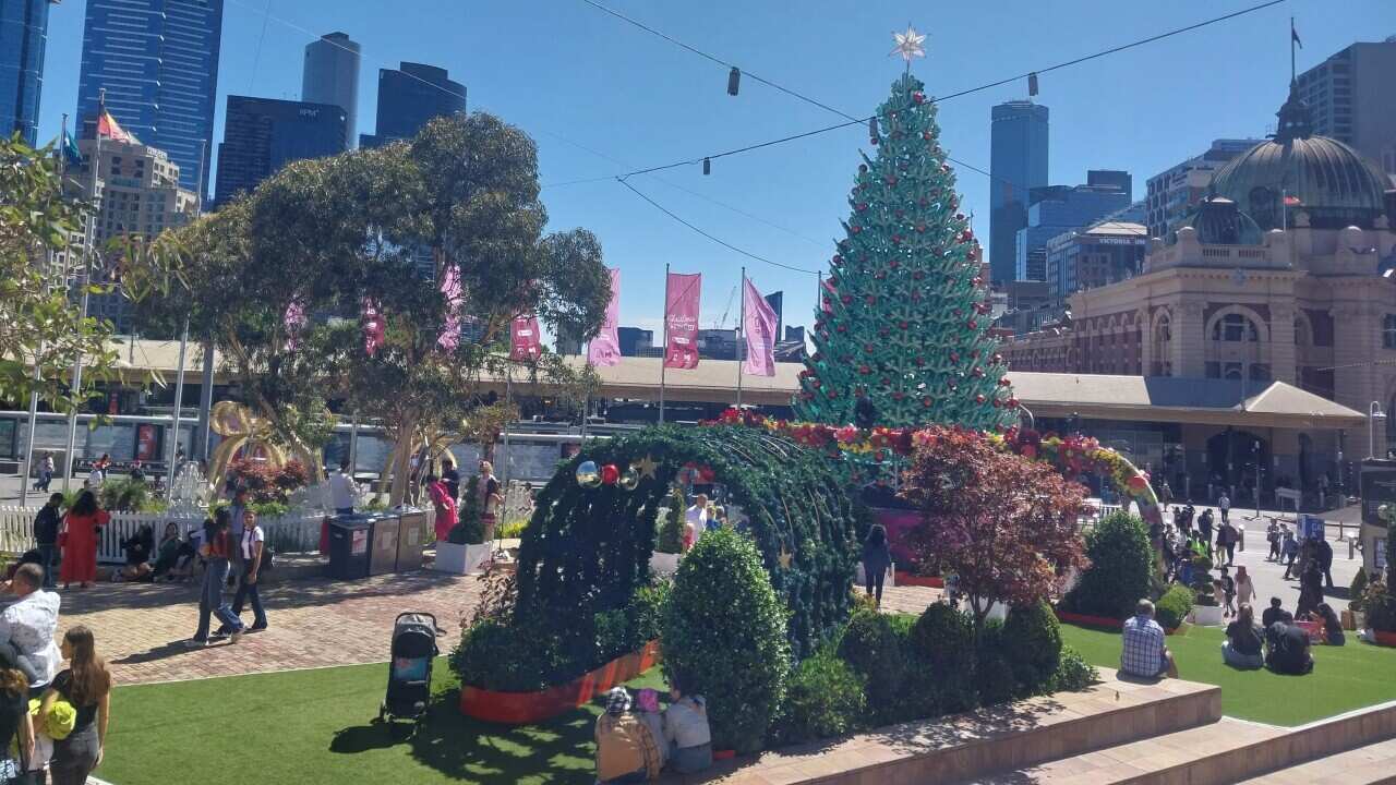 Federation Square, Melbourne, 24th of December 2024, The Chrismas tree (2).jpg