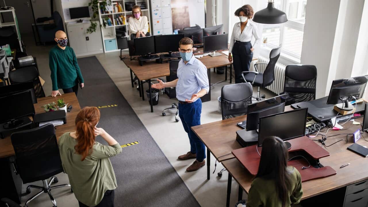 Staff meeting in office with social distancing