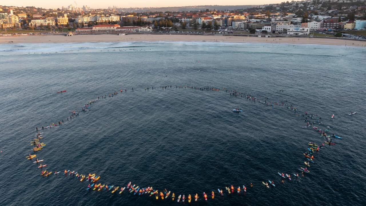 COMMUNITY PADDLE OUT BONDI BEACH