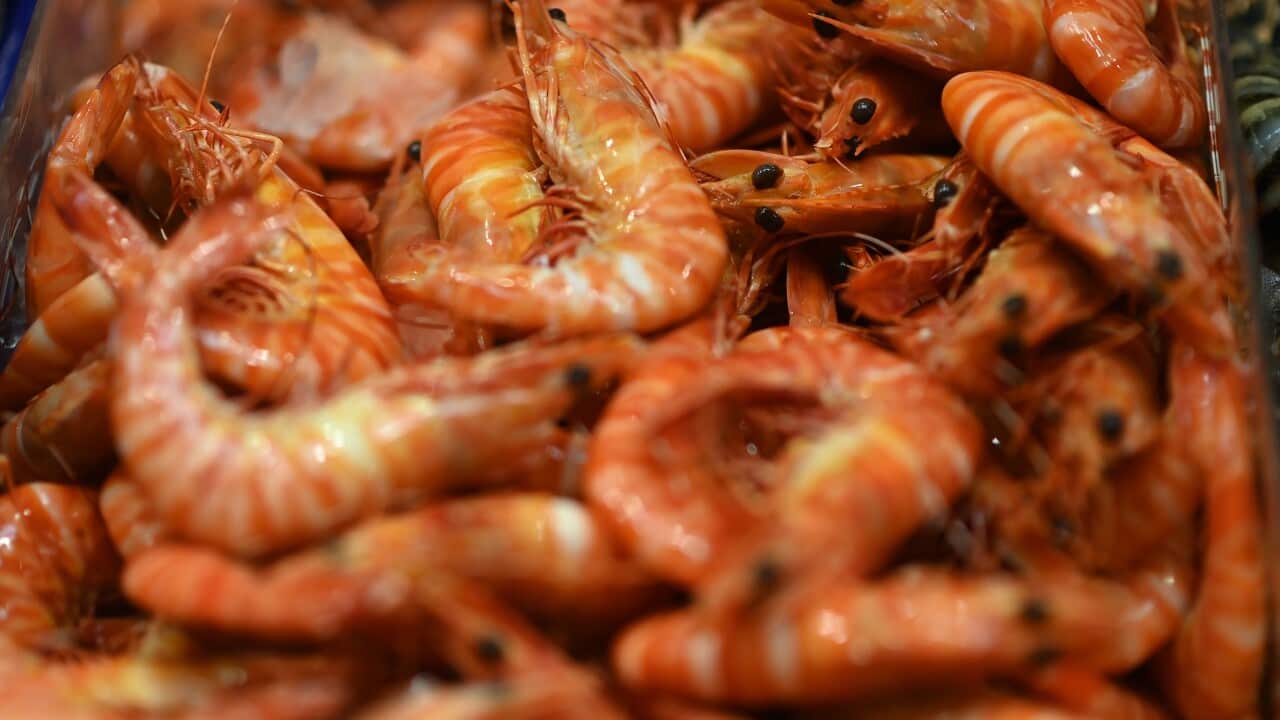Prawns at a fish market in Melbourne, Friday, December 24, 2021. AAP