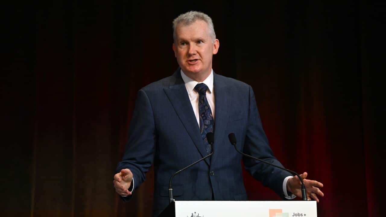 JOBS AND SKILLS SUMMIT