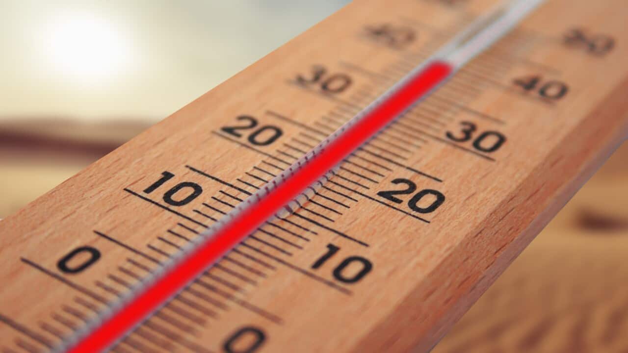 thermometer-4294021.jpg