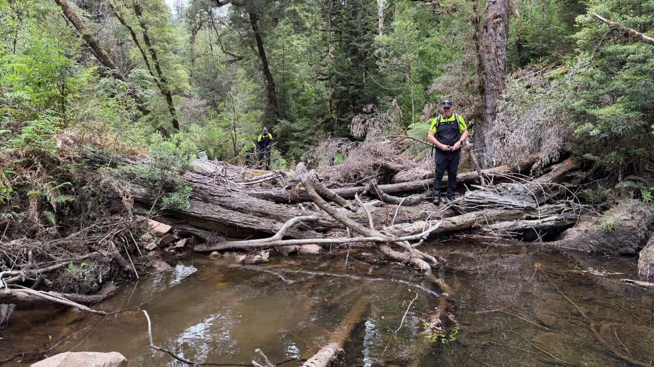 A man standing over a swamping water area.
