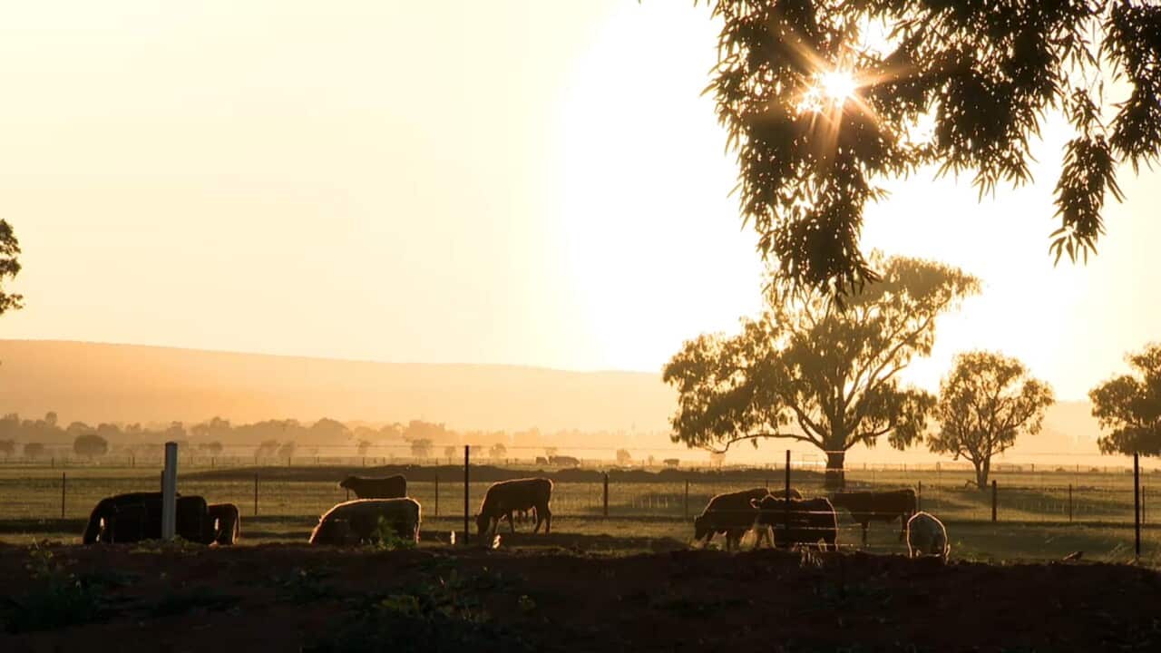 Leeton