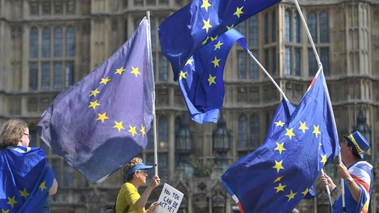 Pro-EU Protesters outside Britain's Houses of Parliament.