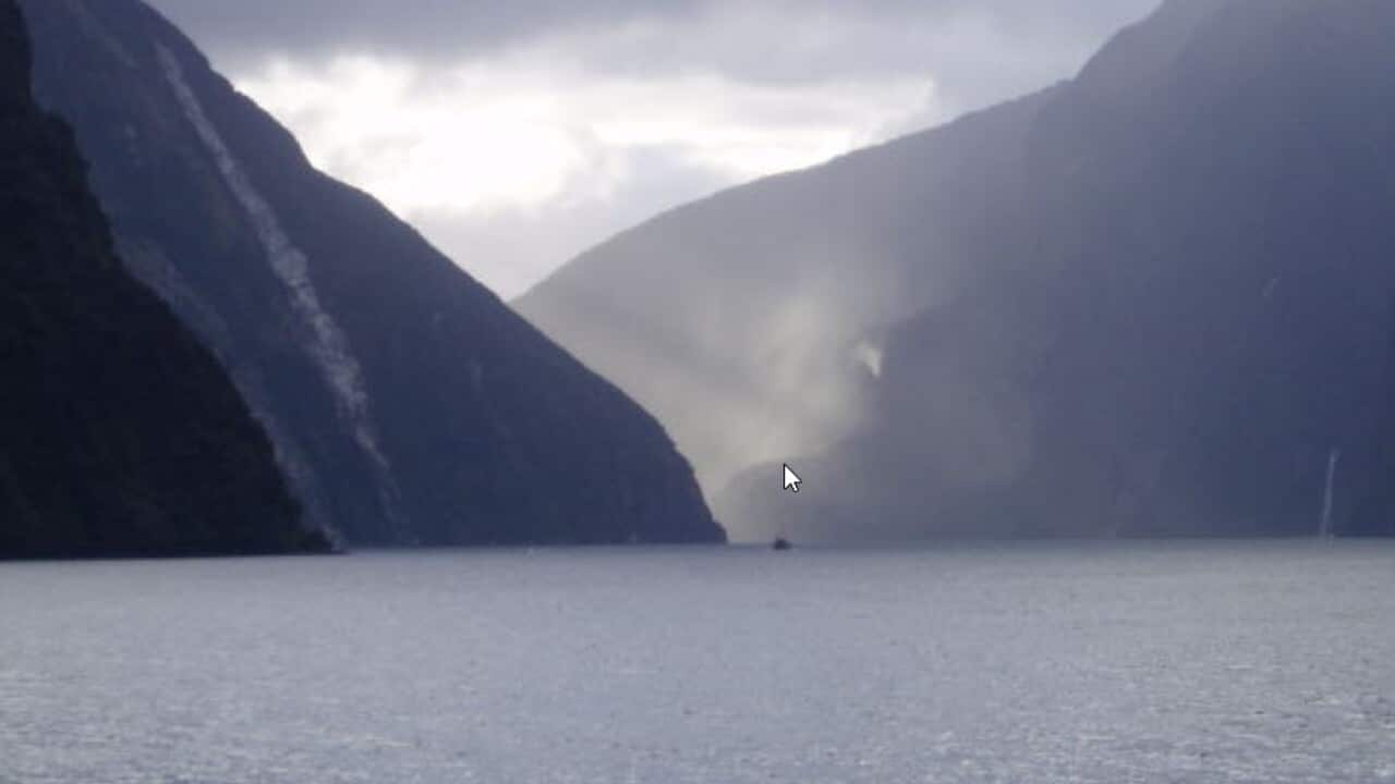 new zealnd 6.jpg