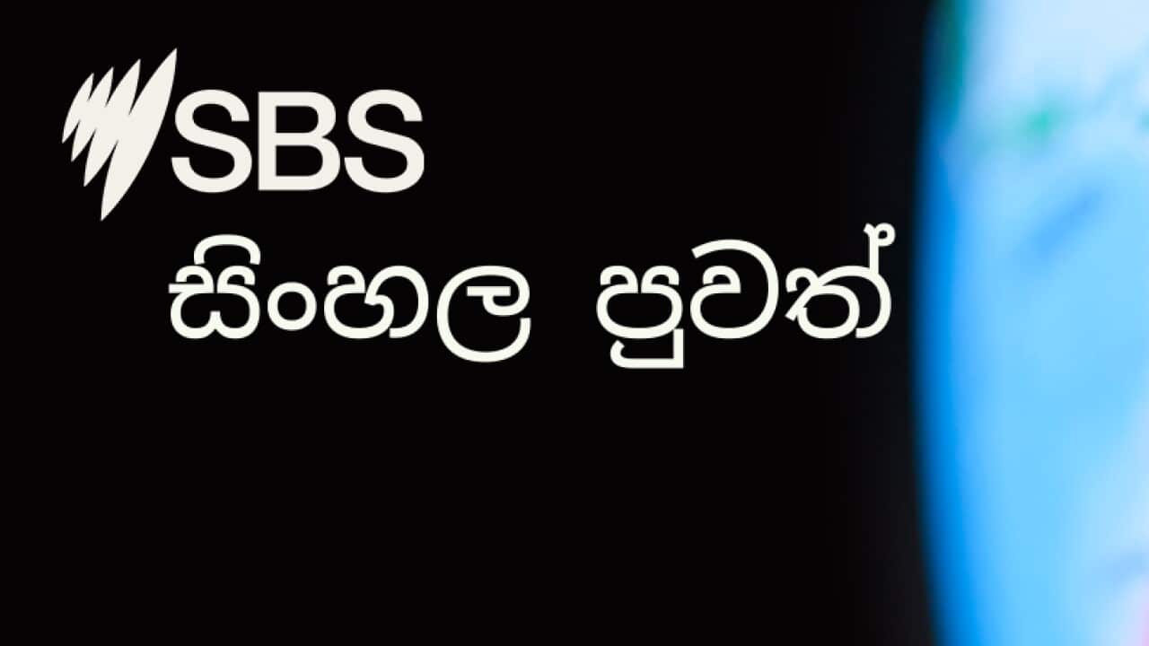 Daily News bulletin of SBS Sinhala Service