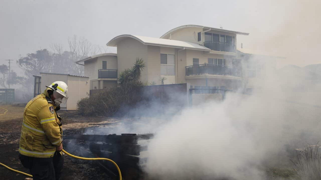 Firefighters work to contain a bushfire along Old Bar road in Old Bar, NSW, Saturday, November 9, 2019.