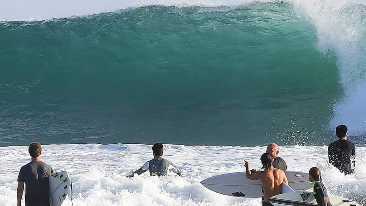 Surfers survey large surf before paddling out