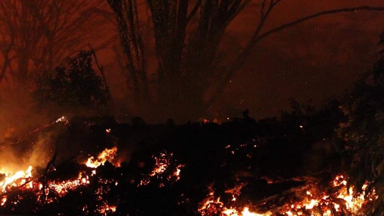 Lava flows through Leilani Estates
