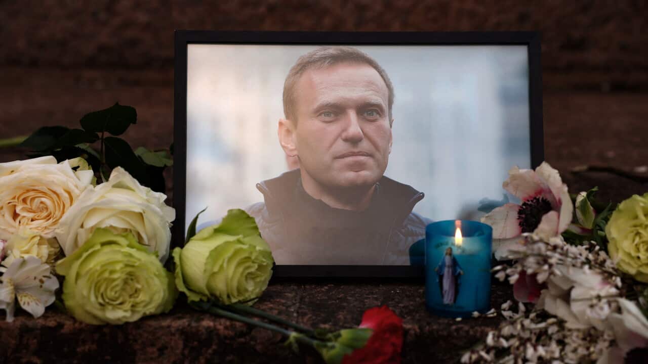 ‘They killed democracy’: How Russians are reacting to Alexei Navalny’s death ‘They killed democracy’: How Russians are reacting to Alexei Navalny’s death