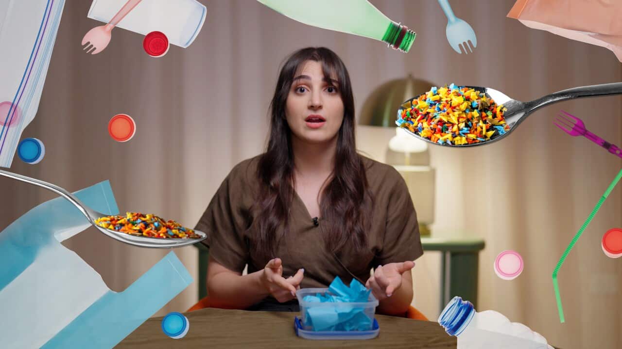 MICROPLASTICS HEADER .jpg