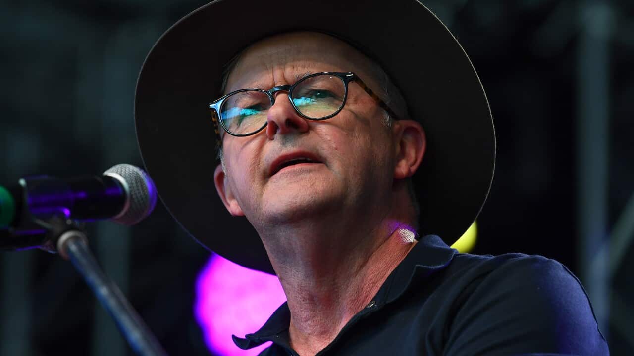ANTHONY ALBANESE WOODFORD FESTIVAL