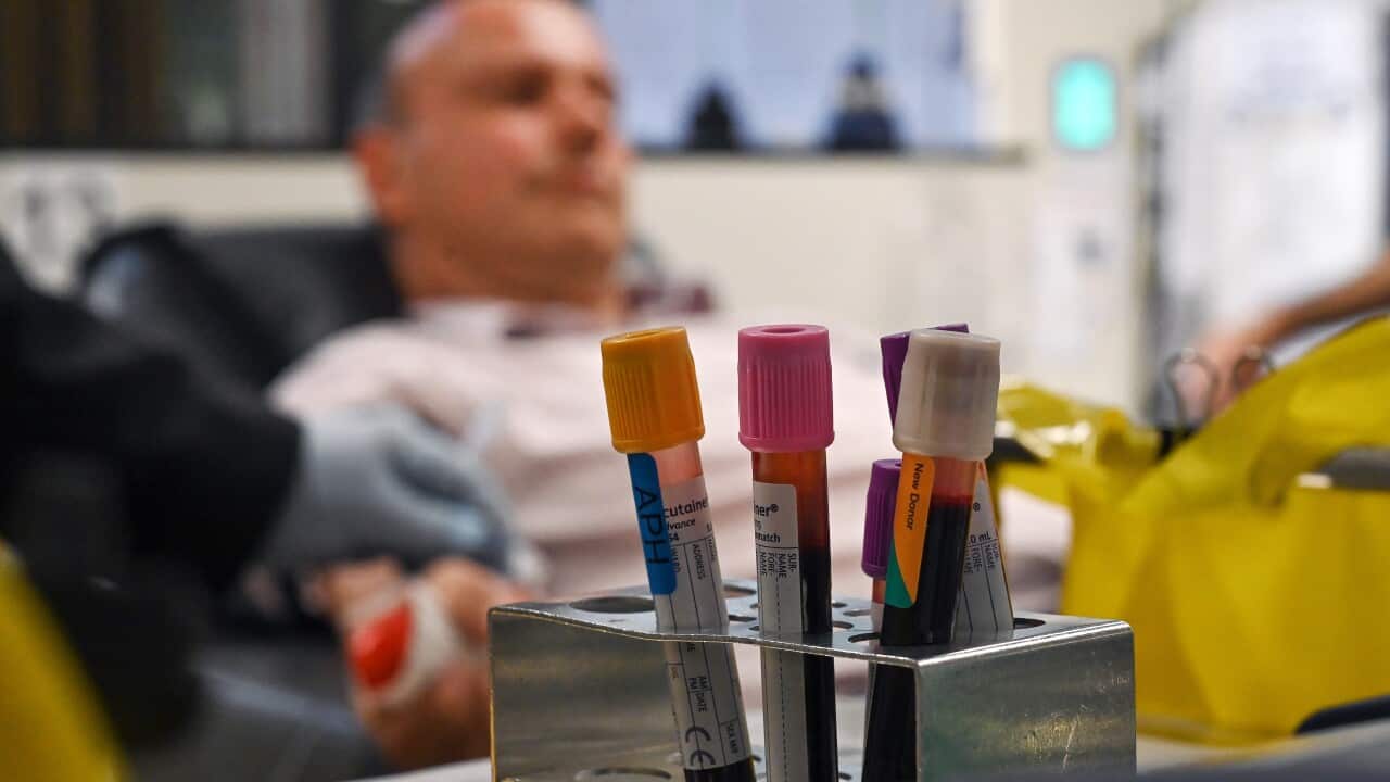 Image for read more article 'READ MORE'