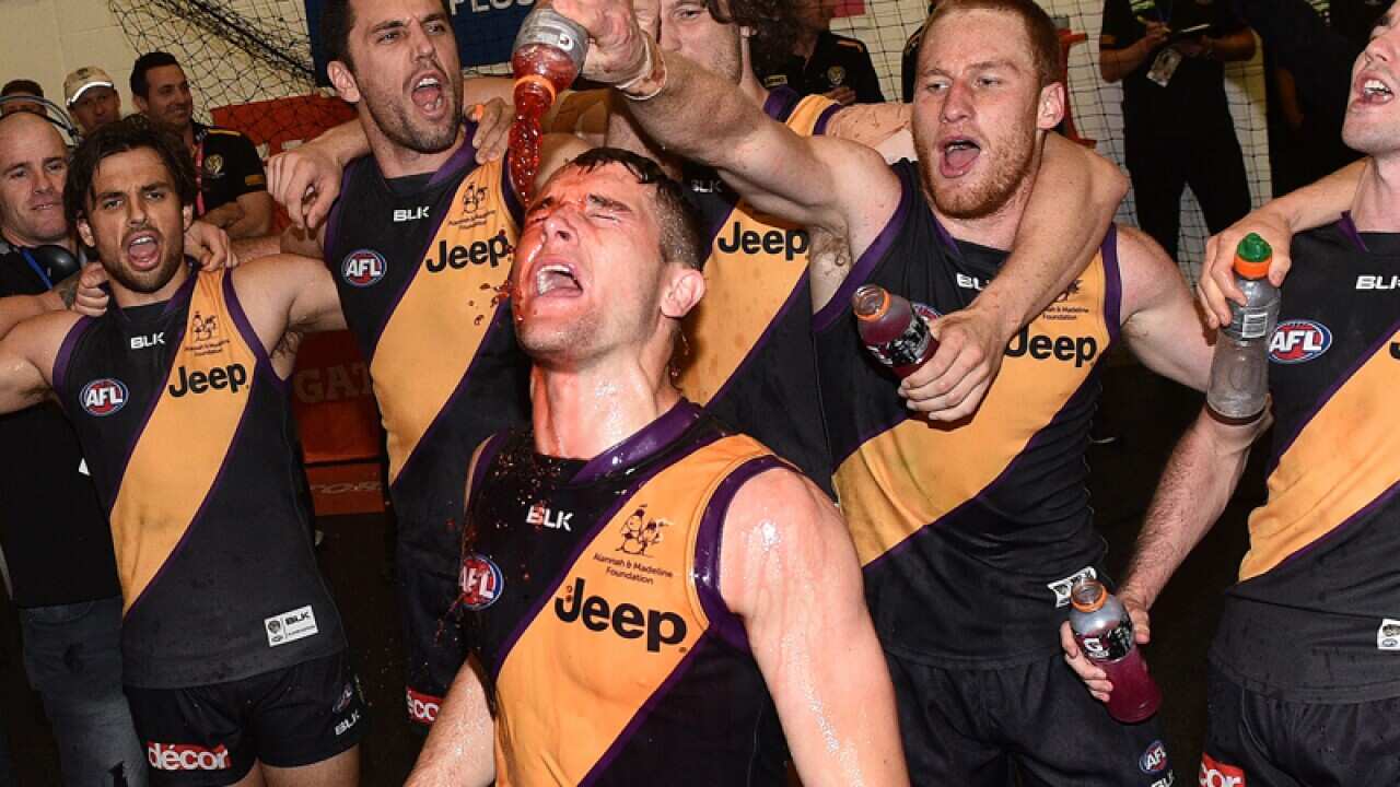 Tigers celebrate