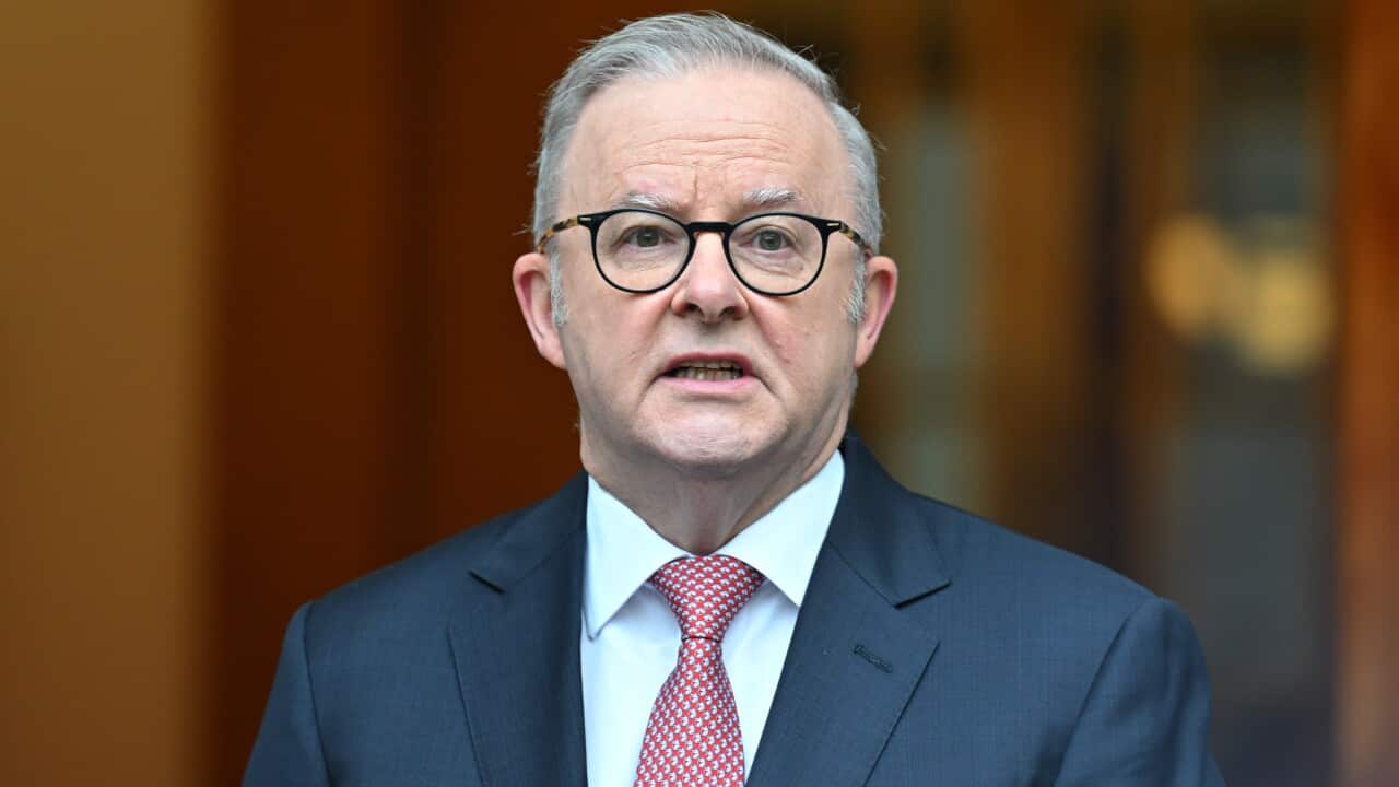 ANTHONY ALBANESE PRESSER