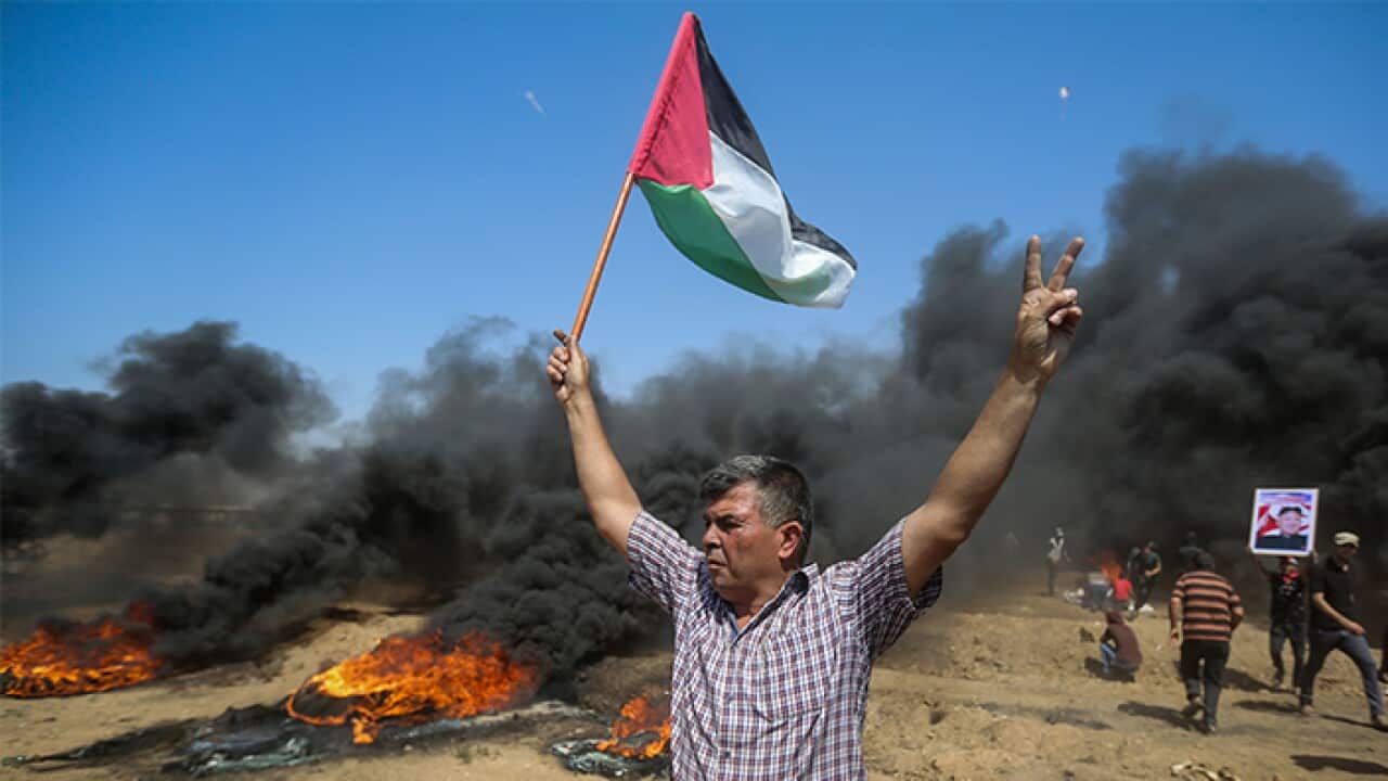 palestine