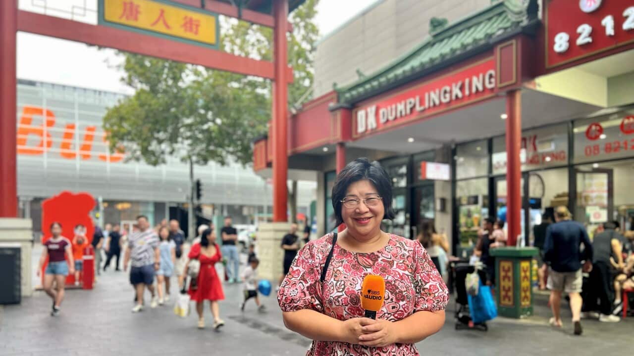 南澳同德会主席章德玲(Anna Cheung).jpg