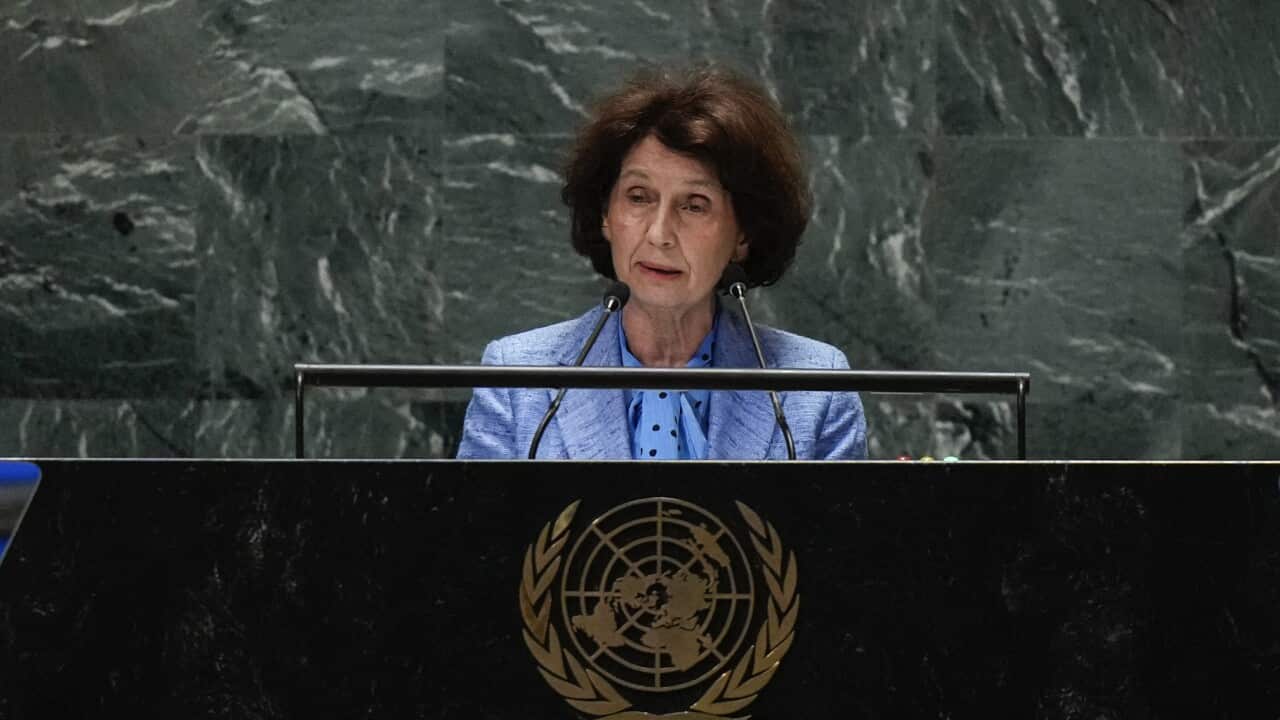UN General Assembly