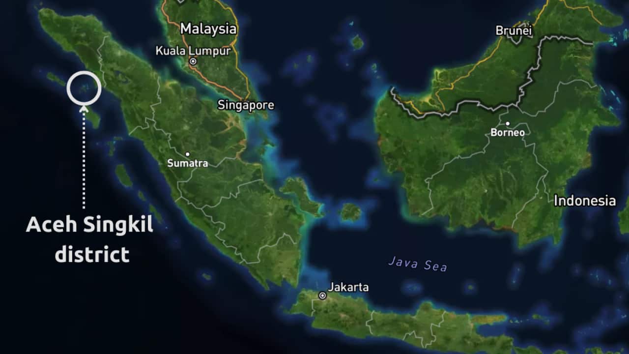 Image for read more article ''