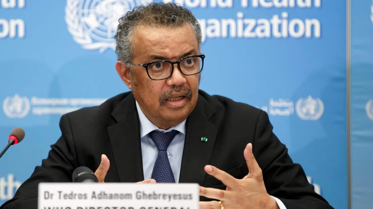 WHO chief Tedros Adhanom Ghebreyesus.