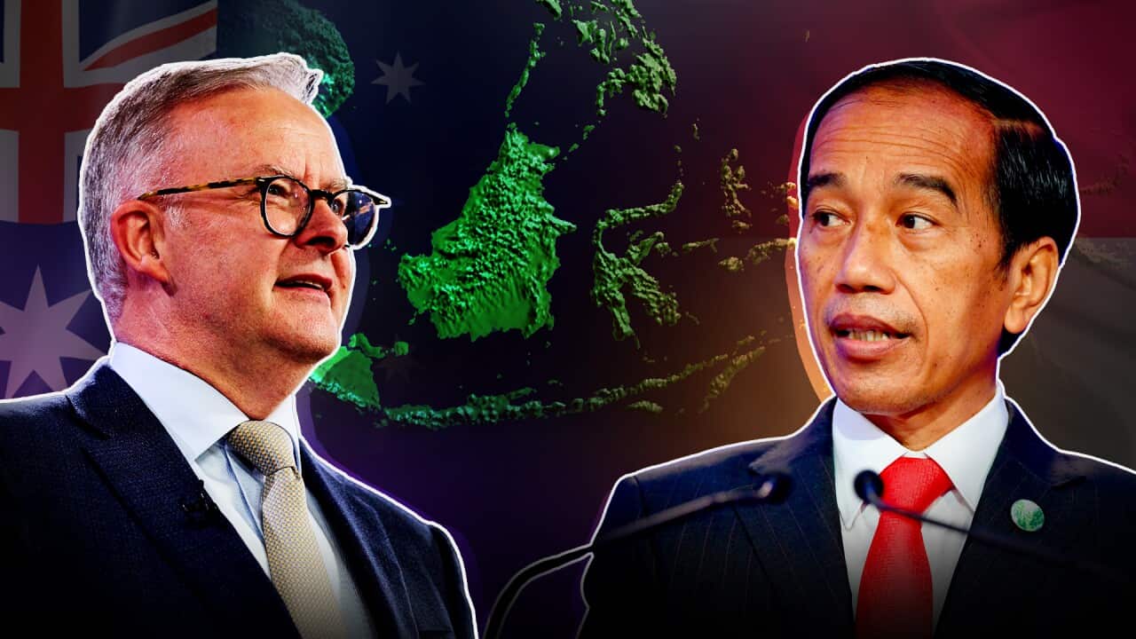 Artwork featuring image of Australian prime minister Anthony Albanese (left) and Indonesian president Joko Widodo (right).