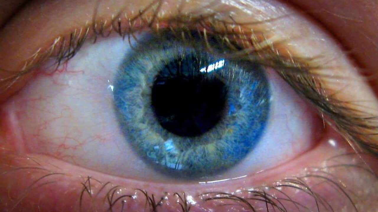 Scientists identify genetic risk factors behind glaucoma