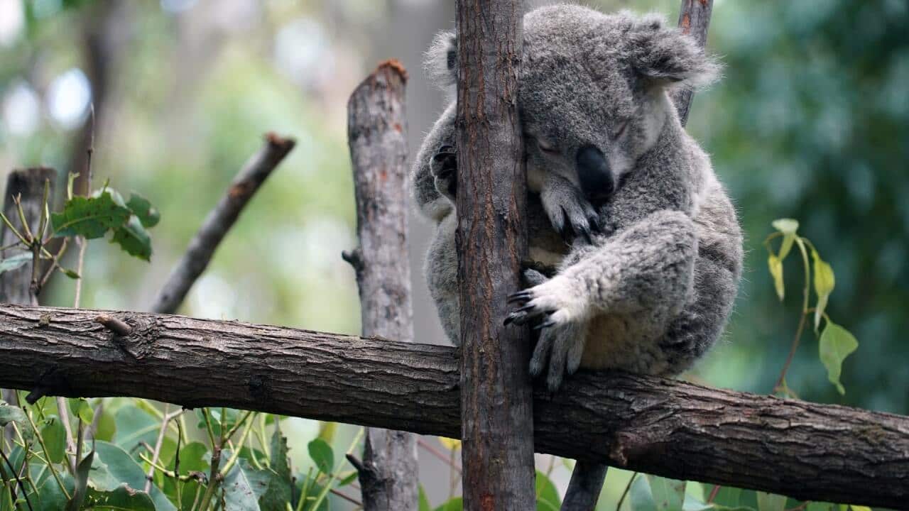 Image for read more article 'READ MORE'