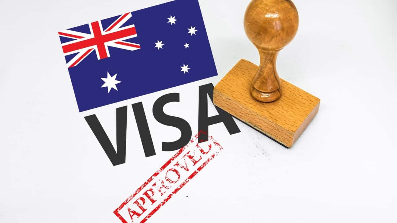 Visa.jpg