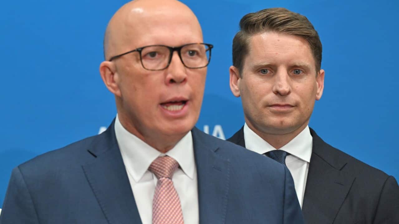 Image for read more article 'READ MORE'