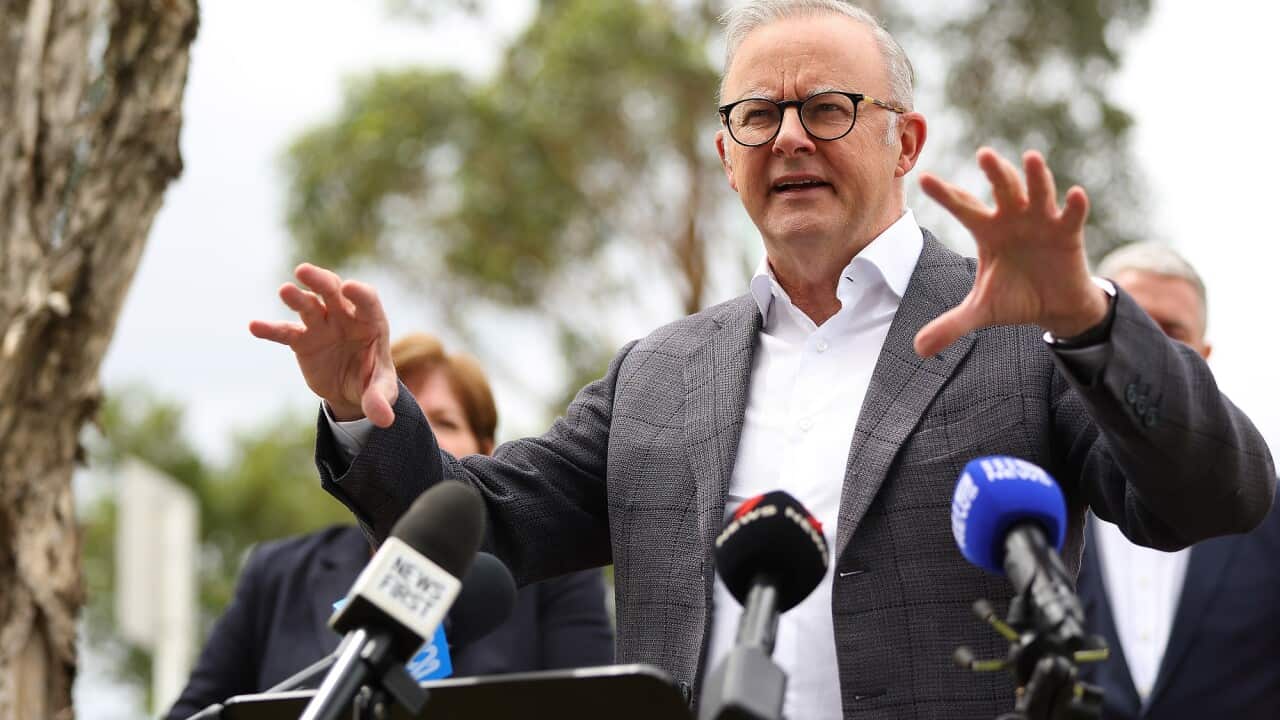 ANTHONY ALBANESE SYDNEY VISIT