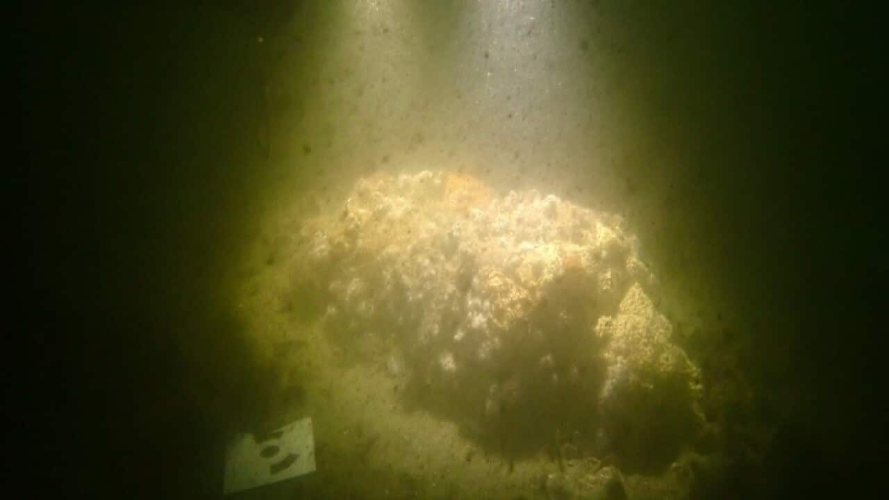 Image of wreckage believed to be HMS Endeavour