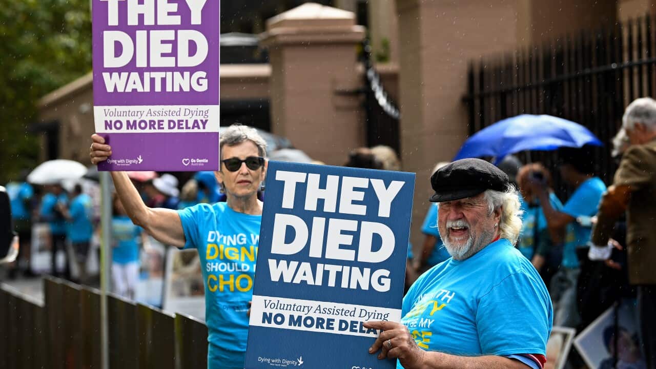 Image for read more article 'Te puede interesar:'