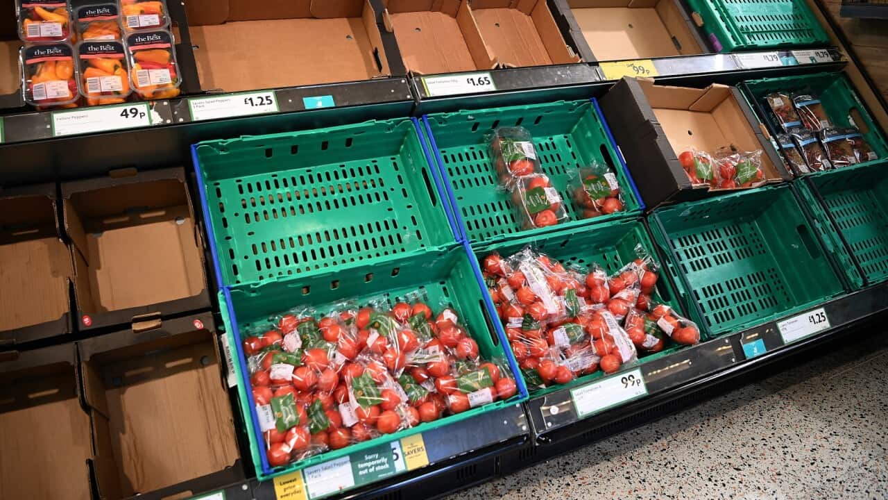 BRITAIN FOOD SHORTAGES SUPPLY CHAIN